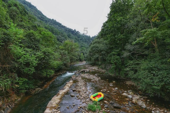 原创“一脱出名”到“椰树女神”,徐冬冬的傲人身材,内娱无人能敌